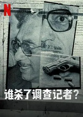 《谁杀了调查记者》：真相迷雾下的权力游戏？一部烧脑的社会派推理佳作