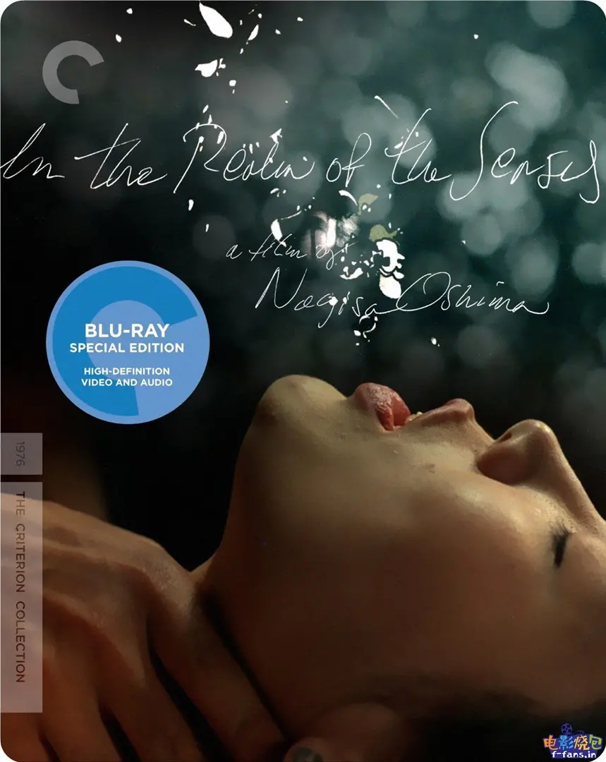 《感官世界》影评：极致情欲下的扭曲爱情，一场奔向毁灭的盛宴