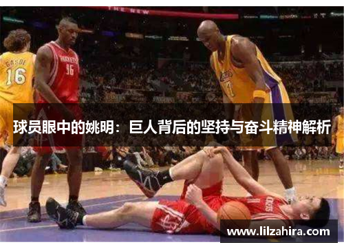 球员眼中的姚明：巨人背后的坚持与奋斗精神解析
