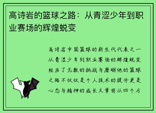 高诗岩的篮球之路：从青涩少年到职业赛场的辉煌蜕变